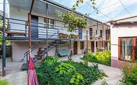 The Kiwi House